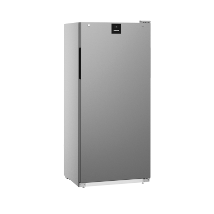 Armoire à Boissons Grise Froid Ventilée 544 L - Classe B