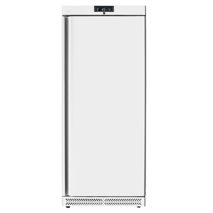 Armoire réfrigérée négative ventilée 600L