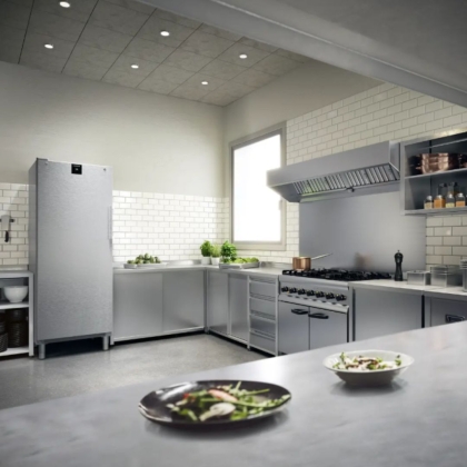 Armoire Réfrigérée Négative Inox avec NoFrost 544L