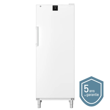 Armoire Réfrigérée Négative Blanche avec SmartFrost 573L