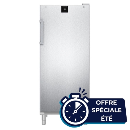 Armoire réfrigérée négative NoFrost 472 L