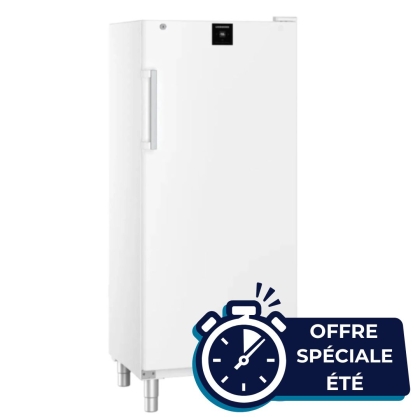 Congélateur Armoire Blanche avec SmartFrost 499L