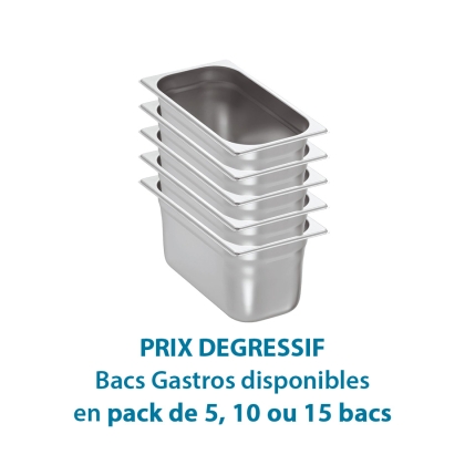 Bac Gastro GN1/3 P100