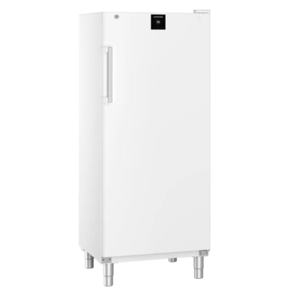 Congélateur Armoire Blanche avec SmartFrost 499L