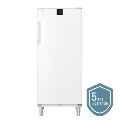 Congélateur Armoire Blanche avec NoFrost 472L