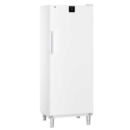 Armoire Réfrigérée Négative Blanche avec SmartFrost 573L