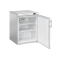 Mini Armoire Négative 200L Inox Classe A