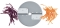 Pack Expert 13 disques - Nutrition Fraicheur