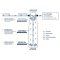 Cartouche Anti-Calcaire Bestclear 2XL