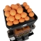 Presse Agrume Automatique "Basic"